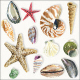 Szalvéta Papírszalvéta 33x33 cm 20 db-os Shells