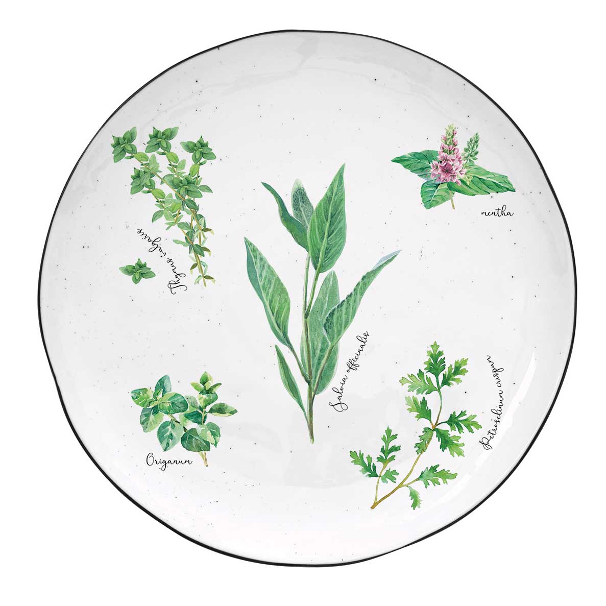 Tányér, étkészlet Porcelán fűszernövényes desszertes tányér Herbarium