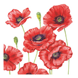 Szalvéta Romantic Poppy papírszalvéta