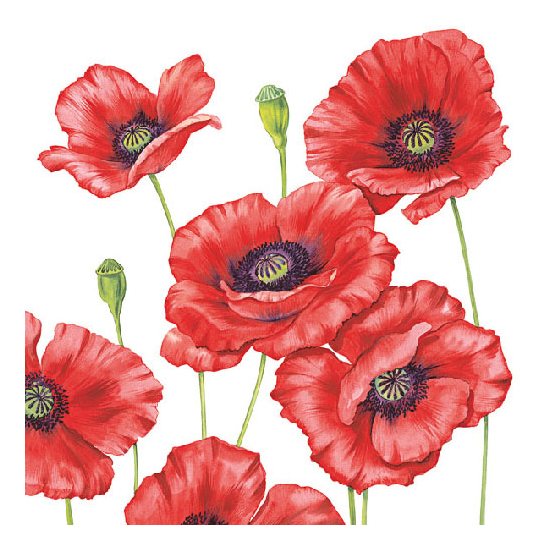 Szalvéta Romantic Poppy papírszalvéta