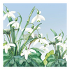 Szalvéta Snowdrops papírszalvéta