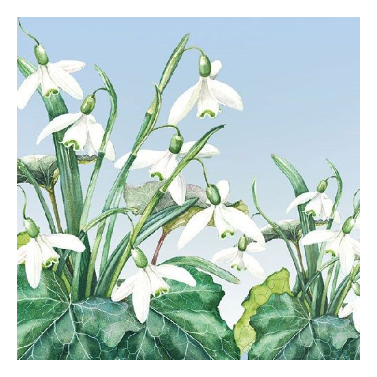 Szalvéta Snowdrops papírszalvéta