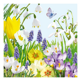 Szalvéta Spring Time papírszalvéta