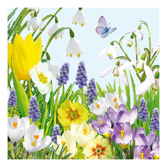 Szalvéta Spring Time papírszalvéta