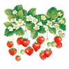 Szalvéta Summer Fruits papírszalvéta