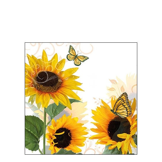 Szalvéta Sunny Butterfly papírszalvéta