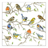 Szalvéta Tavaszi madaras papírszalvéta, 33x33cm - Birds Meeting