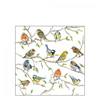 Szalvéta Tavaszi madaras papírszalvéta Birds Meeting kicsi 25x25 cm