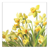 Szalvéta Tavaszi nárcisz virágos papírszalvéta Golden Daffodils 33x33cm