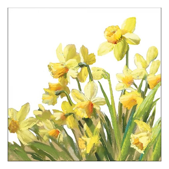 Szalvéta Tavaszi nárcisz virágos papírszalvéta Golden Daffodils 33x33cm