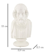 Klasszikus görög férfi mellszobor fehér 12,9X12,5X25 cm Dekorációs figura Mauro Ferretti
