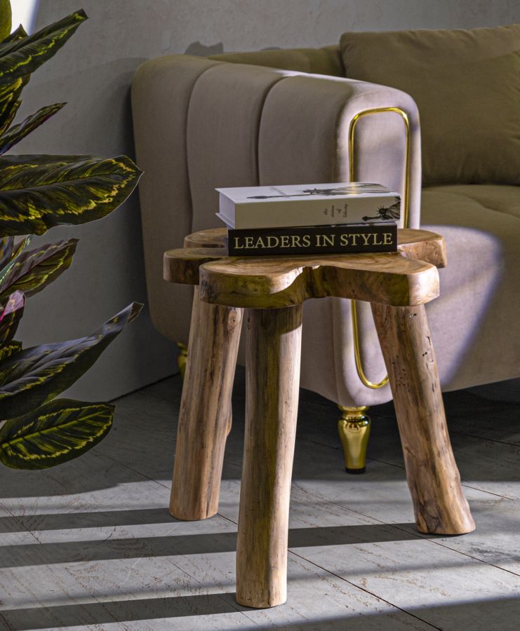 Rusztikus teak fa lerakóasztal Café – barna Modern lerakóasztal Mauro Ferretti