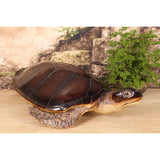Dekor figura teknős 88 cm – barna