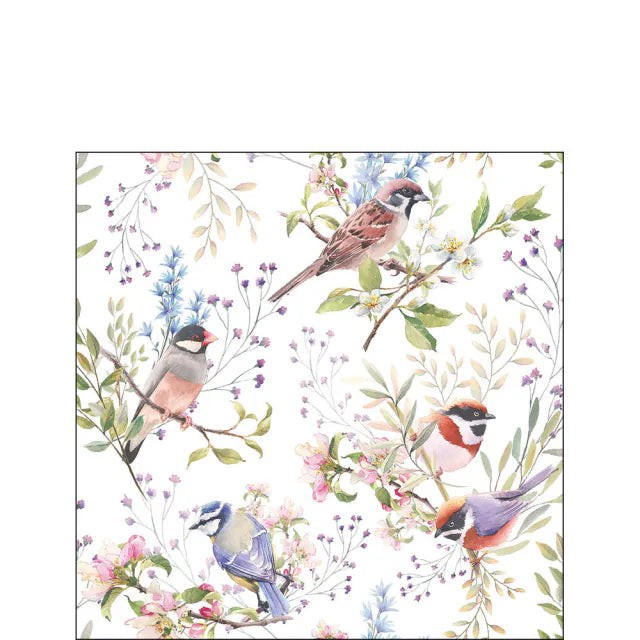 Tavaszi Virágos–madaras háromrétegű papírszalvéta 25x25 cm 20 db-os Busy birds