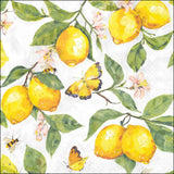 Háromrétegű papírszalvéta 33x33 cm 20 db-os citrom mintás Fresh lemons white