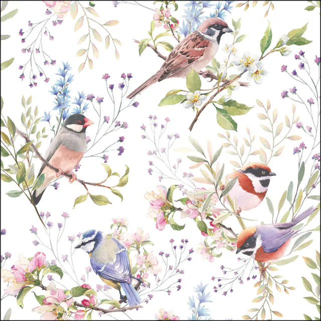 Tavaszi Virágos–madaras háromrétegű papírszalvéta 33x33 cm 20 db-os Busy birds