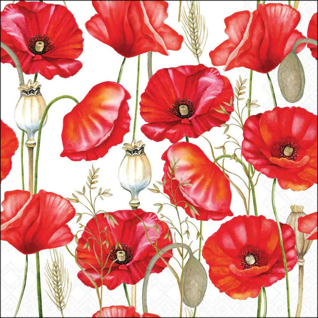Pipacs virágos háromrétegű papírszalvéta 33x33 cm 20 db-os Poppy all over