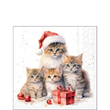 Karácsonyi cicás szalvéta 25x25 cm 20 db-os Meaowy Christmas