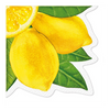 Pure Lemons citromos papírszalvéta 32 cm 12db-os