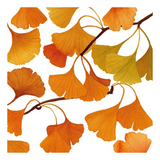 Papírszalvéta 33x33 cm 20 db-os Őszi Gingko levelek