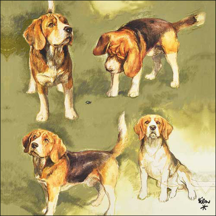 Szalvéta Beagles kutyás papírszalvéta 33x33 cm 20 db-os