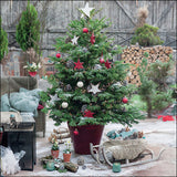 Szalvéta Decorated fir karácsonyi három rétegű papírszalvéta 33x33 cm