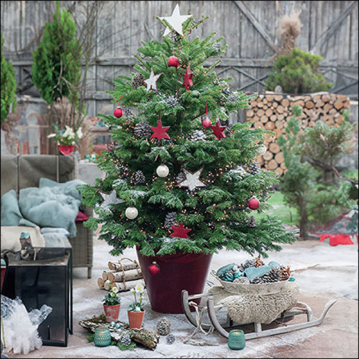 Szalvéta Decorated fir karácsonyi három rétegű papírszalvéta 33x33 cm