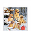 Szalvéta Golden retriever kölykök karácsonyi papírszalvéta 25x25 cm 20 db-os
