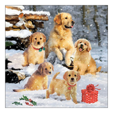 Szalvéta Golden retriever kölykök karácsonyi papírszalvéta 33x33 cm 20 db-os