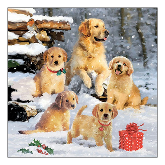 Szalvéta Golden retriever kölykök karácsonyi papírszalvéta 33x33 cm 20 db-os