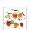 Szalvéta Lampion flower papírszalvéta 25x25 cm 20 db