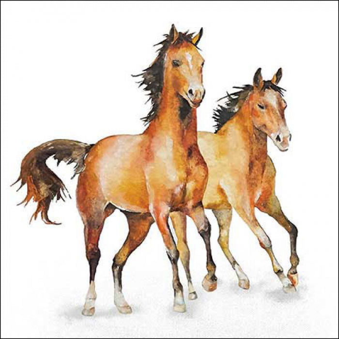 Szalvéta Lovas papírszalvéta 33x33 cm Wild horses