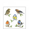 Szalvéta Madárkás papírszalvéta 25x25 cm Bird species
