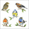 Szalvéta Madárkás papírszalvéta 33x33 cm Bird species
