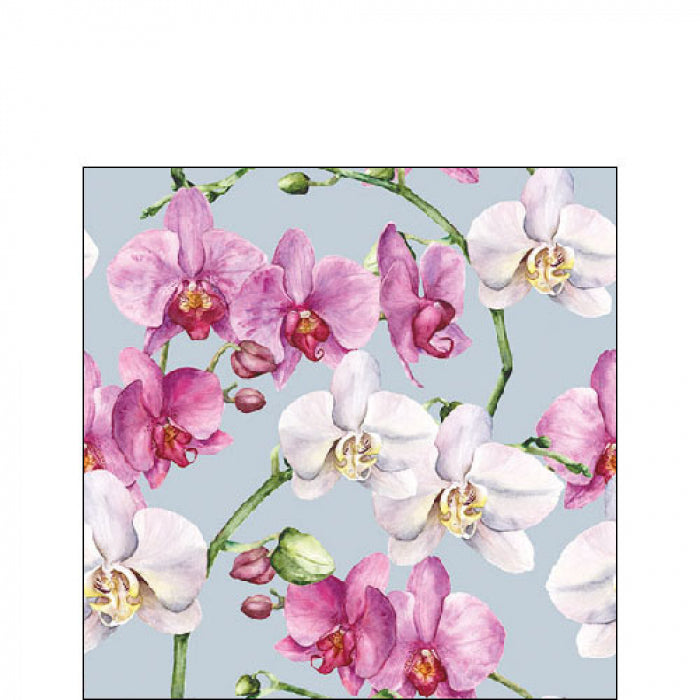 Szalvéta Orchidea virágos három rétegű koktél papírszalvéta Elegant orchids blue
