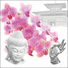 Orchids of Buddha háromrétegű papírszalvéta 33x33 cm 20 db-os