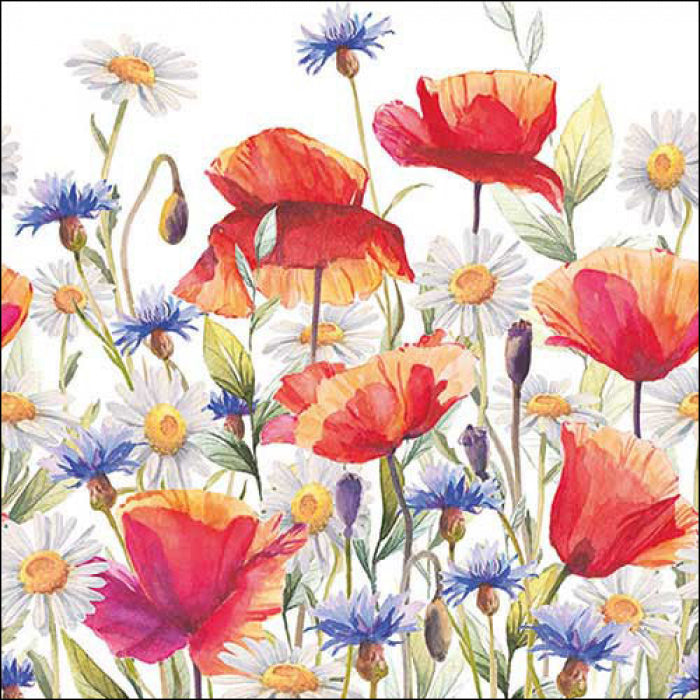 Szalvéta Pipacsos búzavirágos papírszalvéta 33x33 cm Poppies and cornflowers