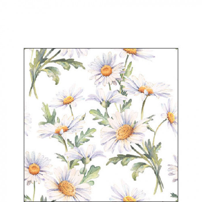 Százszorszép virágos háromrétegű papírszalvéta 25x25 cm 20 db Beautiful daisies white
