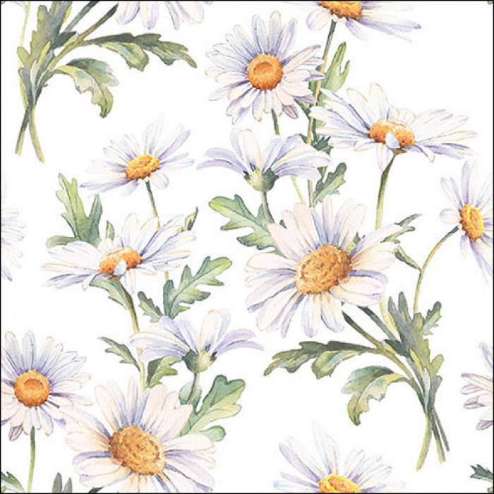 Százszorszép virágos háromrétegű papírszalvéta 33x33cm 20 db Beautiful daisies white