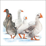 Szalvéta Téli libák papírszalvéta 33x33 cm 20 db-os