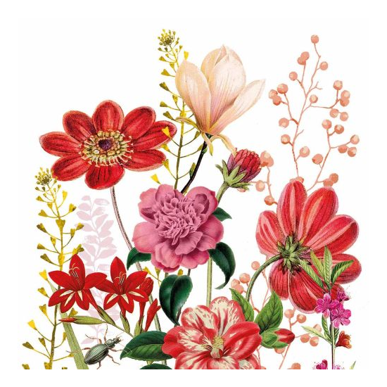 Szalvéta Virágos szalvéta Floria 33x33 cm