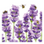 Szalvéta Levendulás, méhecskés papírszalvéta, 25x25cm - Bees & Lavender