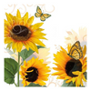 Szalvéta Sunny Butterfly papírszalvéta