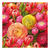 Szalvéta Tavaszi boglárka és tulipán papírszalvéta Ranunculus 33x33cm