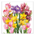 Szalvéta Tavaszi virágos papírszalvéta, 33x33cm - Spring Garden