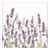 Szalvéta Lavender Shade White levendula virágos papírszalvéta 33x33 cm 20 db-os