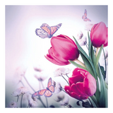 Szalvéta Butterfly & Tulips papírszalvéta