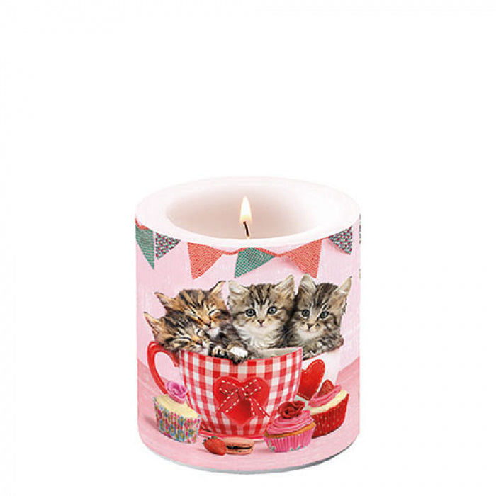 Gyertya Cicás átvilágítós viasz gyertya Cats in Tea Cups kicsi
