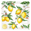 Szalvéta Citrus papírszalvéta