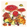 Szalvéta Fly Agaric papírszalvéta